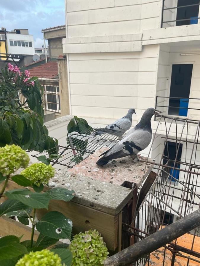 Central Apartment Kadikoy Terrace Bbq Close 2 Block Ferry Bull Metro Nighlife 伊斯坦布尔 外观 照片