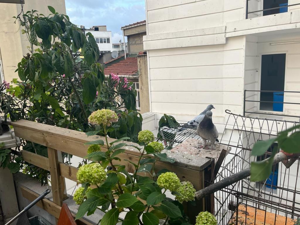 Central Apartment Kadikoy Terrace Bbq Close 2 Block Ferry Bull Metro Nighlife 伊斯坦布尔 外观 照片