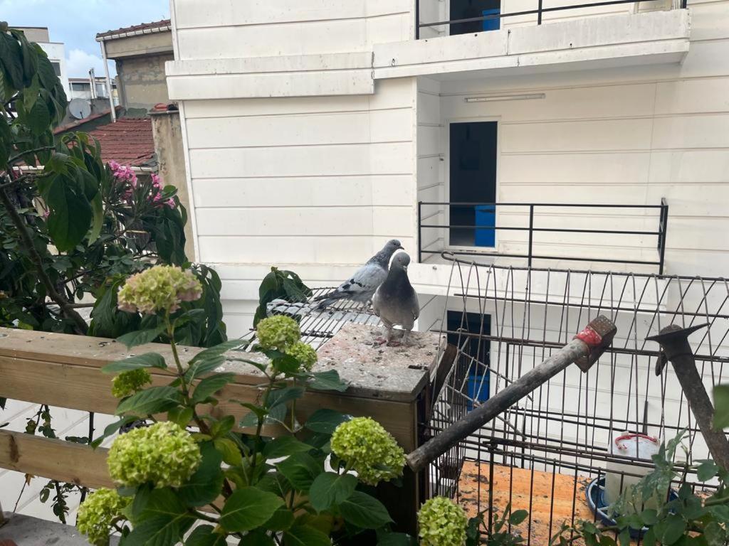 Central Apartment Kadikoy Terrace Bbq Close 2 Block Ferry Bull Metro Nighlife 伊斯坦布尔 外观 照片